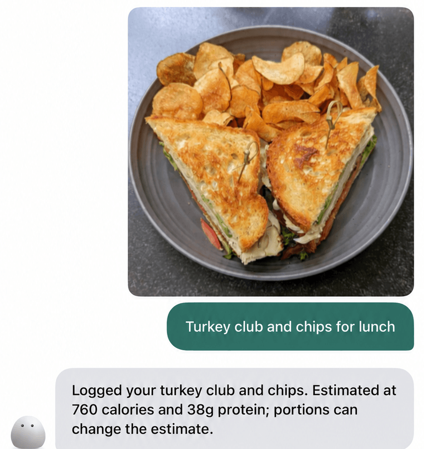 Detail of a meal photo, its label and Pebbli’s calorie estimate
